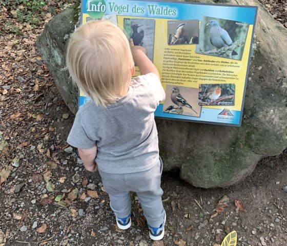 Infotafeln, &copy; D. Sturm