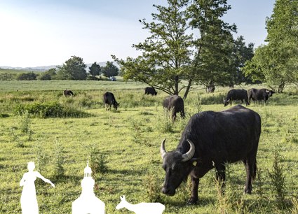 Station 9 - Th&uuml;rer Wiesen