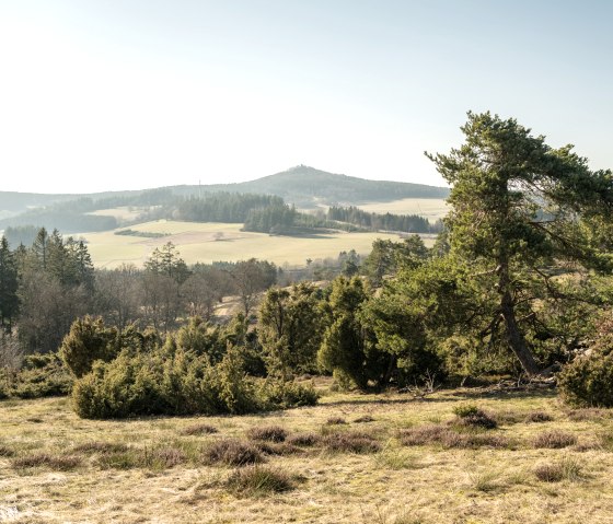 Uitzicht op de Eifel en jeneverbessen op het droompad Bergheidenweg, © Eifel Tourismus GmbH, D. Ketz