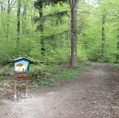 Weg, © Schote/Vulkanregion Laacher See