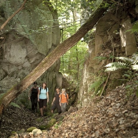 Vier Wanderer gehen durch einen bewaldeten, felsigen Pfad. Ein umgest&uuml;rzter Baum liegt quer &uuml;ber dem Weg. Die Umgebung ist gr&uuml;n und dicht bewachsen., &copy; Traumpfade