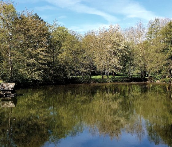 Étang des canards, © VG Mendig/U.Niederelz