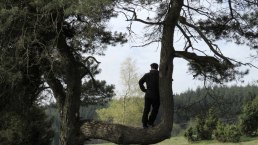 Unterwegs auf dem Traumpfad Bergeheidenweg, © Foto: Svenja Schulze-Entrup, Quelle: Touristik-Büro Vordereifel