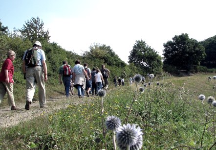Wandern mit dem Bürgermeister 2, © VG Brohltal