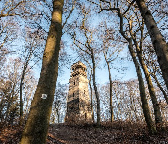 The Lydia Tower offers a beautiful view over Lake Laach, &copy; Eifel Tourismus GmbH/D. Ketz