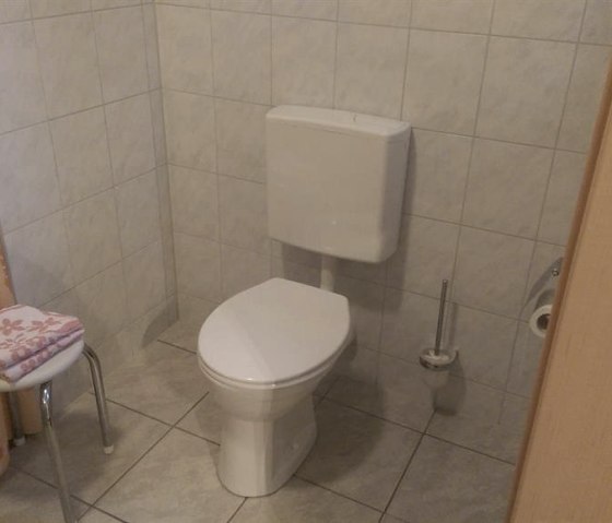 Toilet DZ