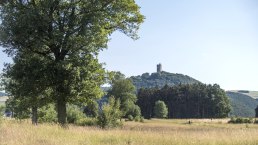Blick auf Burg Olbrück, © Vulkanregion Laacher See/Kappest