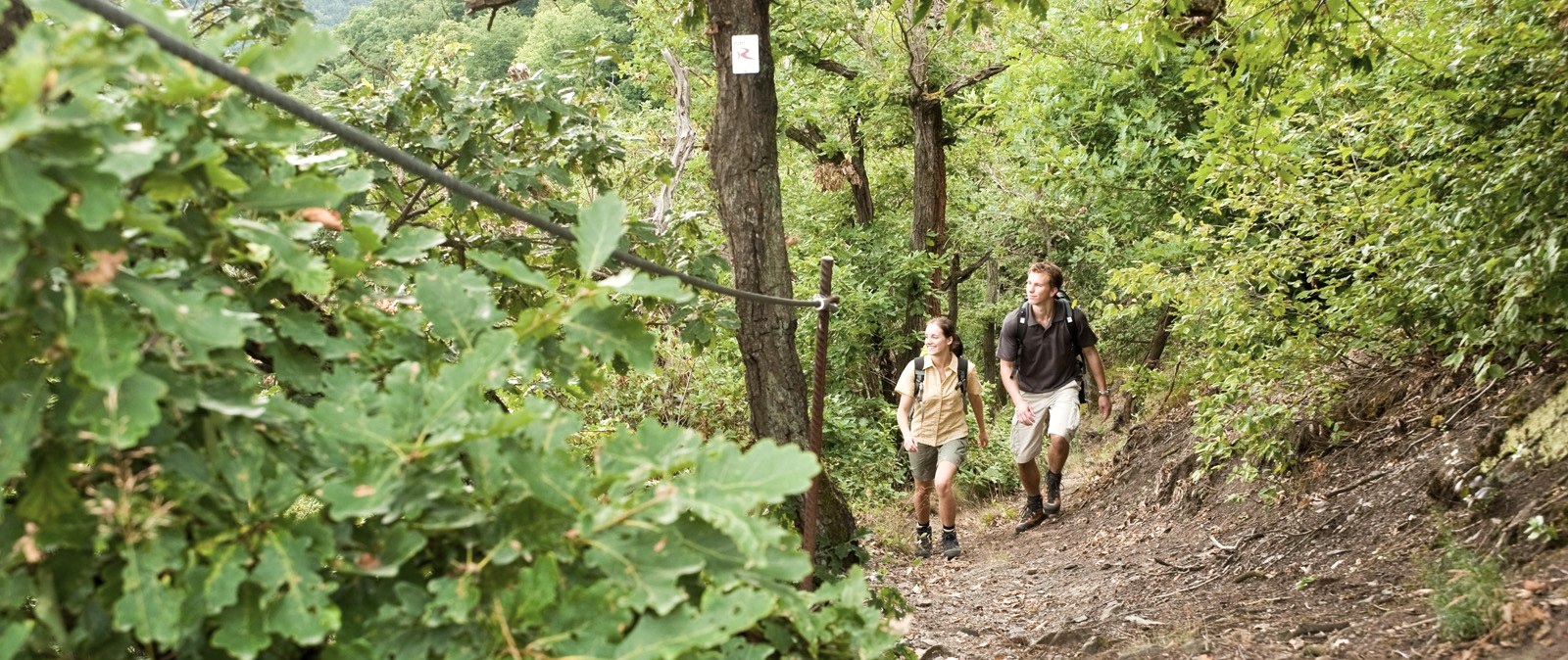 Rheinburgenweg, &copy; Dominik Ketz / Romantischer Rhein Tourismus GmbH