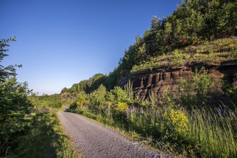 Ein schmaler Weg führt durch eine grüne Landschaft mit Bäumen und Blumen. Im Hintergrund sind bewaldete Hügel zu sehen.