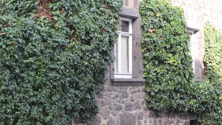 A building with a stone facade, partially covered by green ivy. A window is visible, surrounded by the climbing plants.