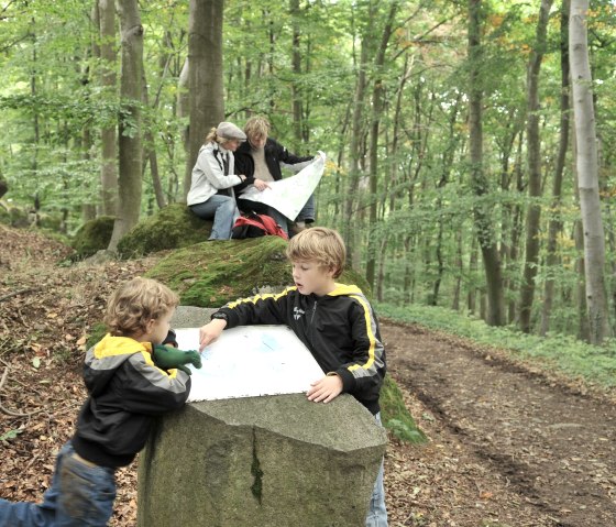 Mauerley 2, &copy; H.J. Vollrath