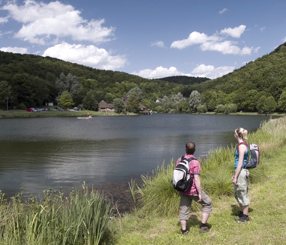 8. Station - Waldseepfad Rieden Seeufer, &copy; Kappest/Remet