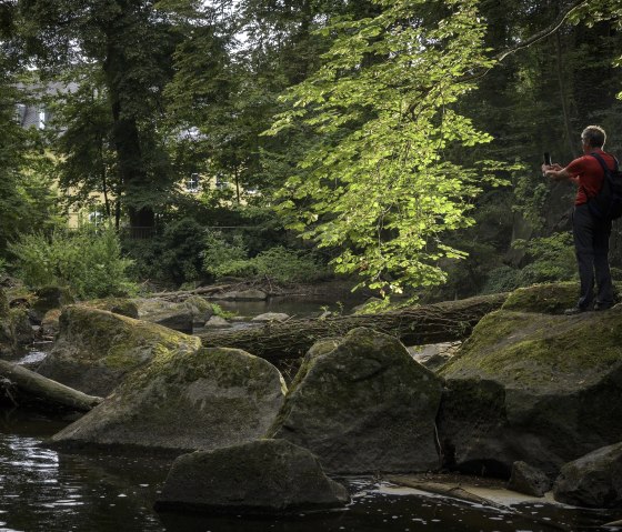Wandern durch den Rauscherpark, &copy; Kappest/VG Pellenz