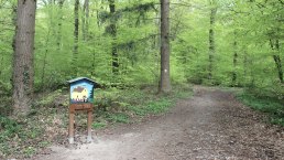Weg, © Schote/Vulkanregion Laacher See