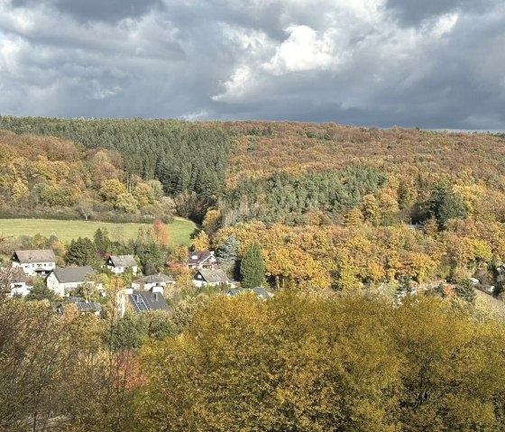 Aussicht Am Baumwipfel