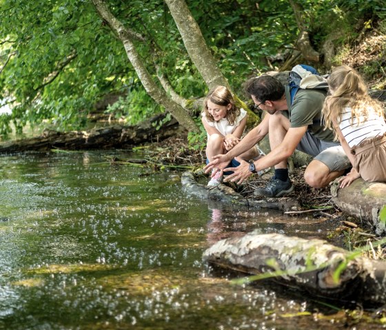 Mofetten am Laacher See, &copy; Eifel Tourismus GmbH, D. Ketz