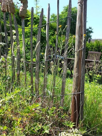Ein rustikaler Holzzaun mit grünem Gras und wilden Pflanzen im Vordergrund. Im Hintergrund sind Bäume und eine Holzbank sichtbar.