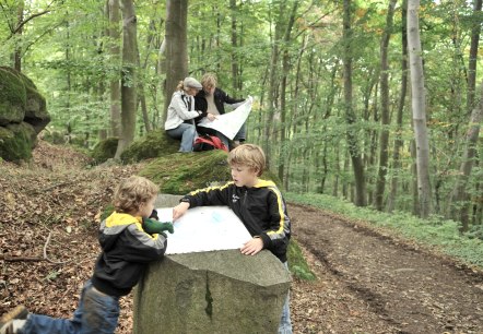 Mauerley 2, © H.J. Vollrath