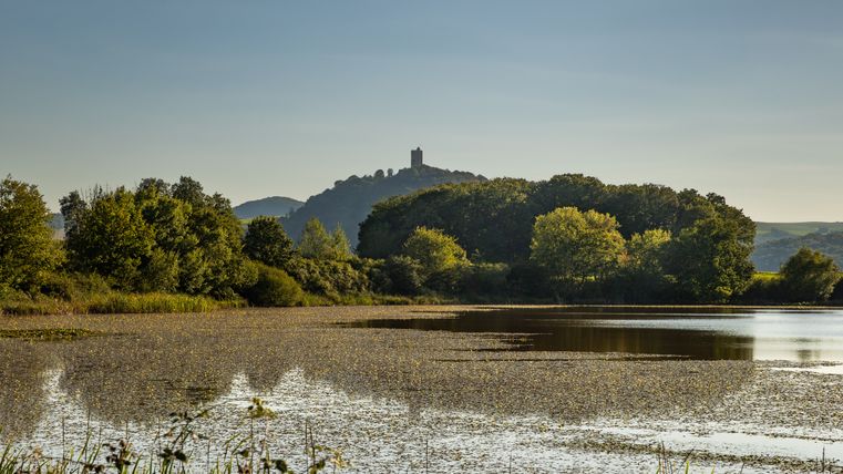 Rodder Maar mit grüner Umgebung und einer Burg auf einer Anhöhe im Hintergrund.