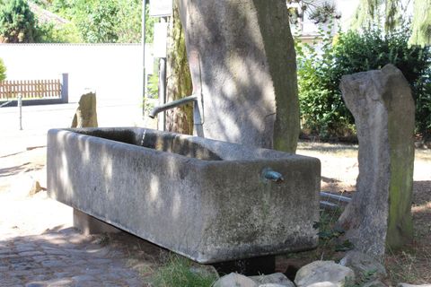 Ein einfacher, grauer Steintrog mit Wasserhahn. Umgeben von Bäumen und Felsen in einem ruhigen Außenbereich.