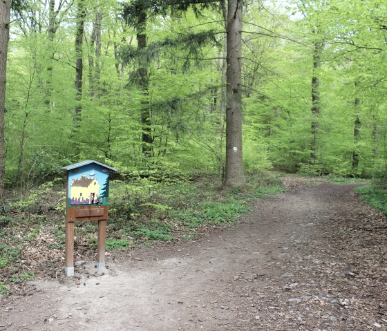 Weg, &copy; Schote/Vulkanregion Laacher See