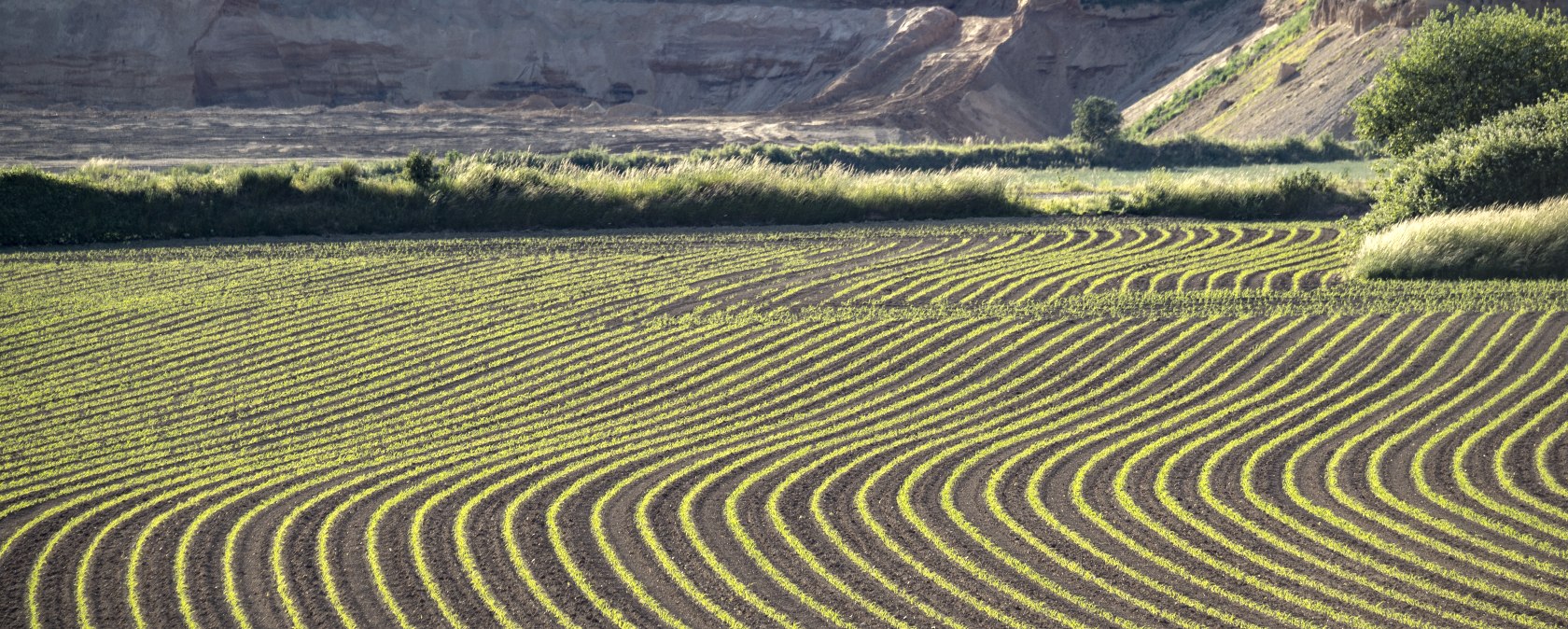 Potato plantations, &copy; Kappest/VG Pellenz