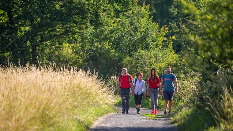 Eine Gruppe von vier Wanderern spaziert auf einem schmalen Weg durch die Natur. Der Weg ist von hohem Gras und Bäumen gesäumt.