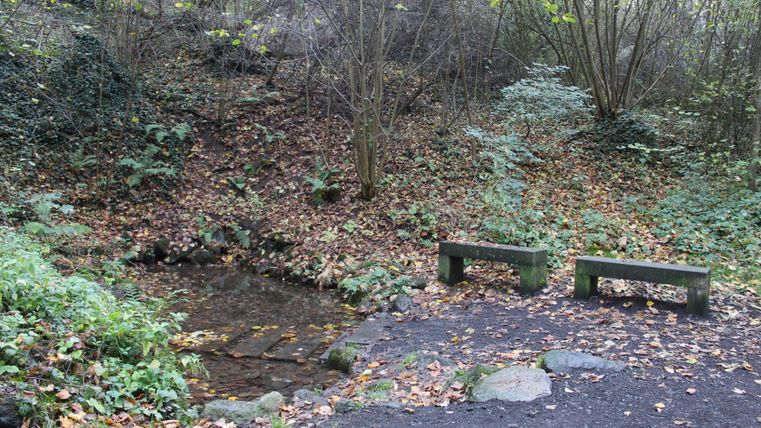 Eine ruhige Ecke in der Natur mit einem kleinen Teich. Zwei Holzbänke stehen bereit, um die Umgebung zu genießen.