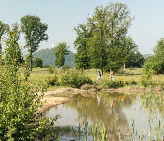 Wandelen op het Rodder Maar, kasteel Olbr&uuml;ck op de achtergrond, &copy; Eifel Tourismus GmbH, D. Ketz