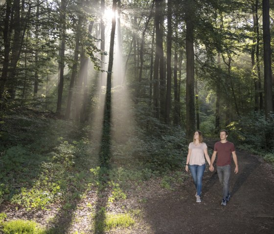 2. Station - Spaziergang am Laacher See, &copy; Kappest/Vulkanregion Laacher See