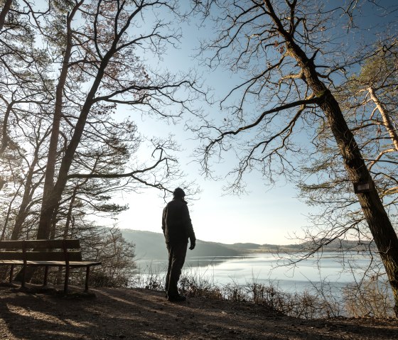 Eine Person steht auf einem Waldweg am Traumpfad Pellenzer Seepfad, blickt auf einen See. Die Sonne scheint durch die Bäume, eine Bank steht links., © Eifel Tourismus GmbH, D. Ketz