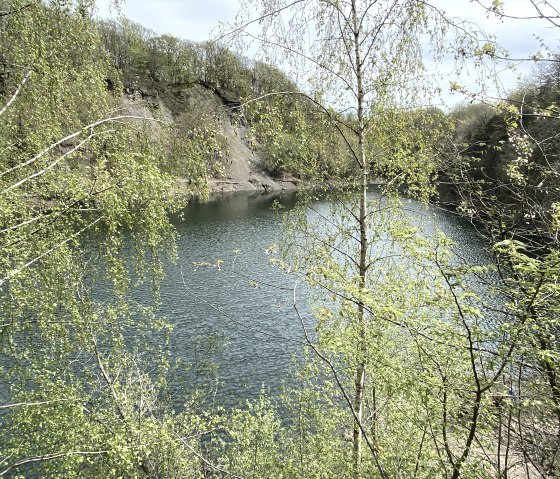 Lac royal d'Oberdürenbach, © Christopf Bürger
