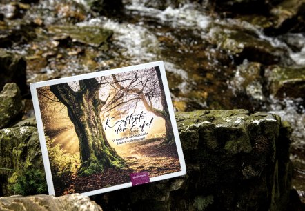 Buch, &copy; Regine Br&uuml;hl