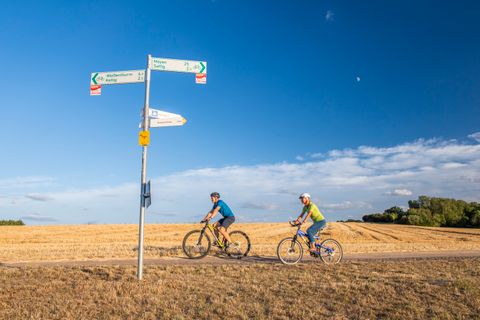 Zwei Fahrradfahrer fahren von rechts nach links. Im Vordergrund ist ein Wegweiser. Der Fahrradweg verläuft zwischen abgeernteten Feldern.