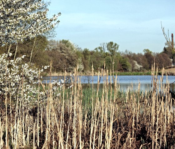 Th&uuml;rer Wiesen Teich, &copy; J&uuml;rgen Thierfelder