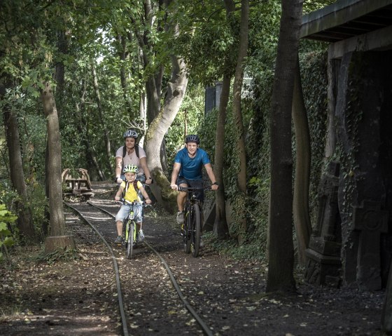 Roue, © Kappest/Vulkanregion Laacher See