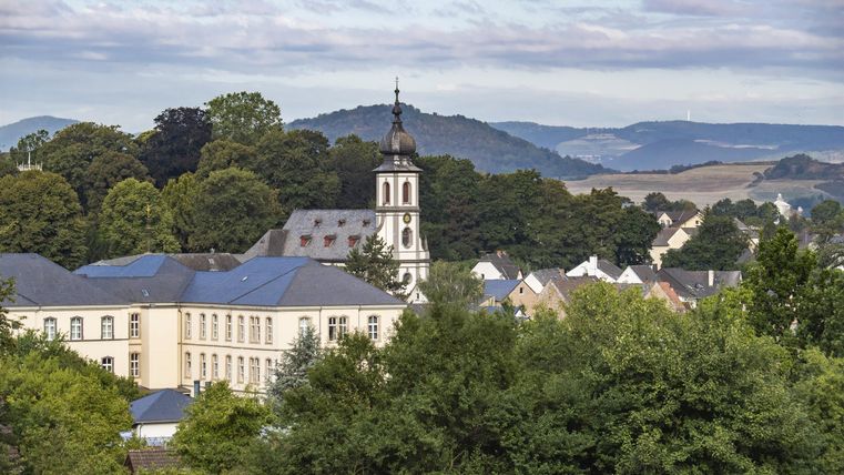 Eine malerische Stadtlandschaft mit historischen Gebäuden und einem Kirchturm. Im Hintergrund sind sanfte Hügel und eine bewaldete Landschaft zu sehen.