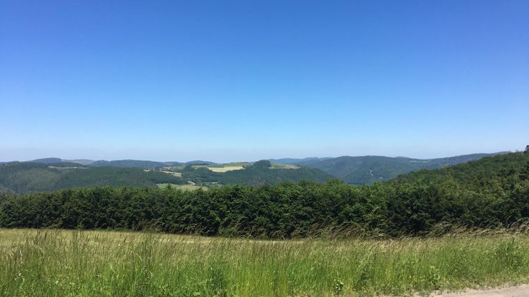 Panoramablick auf eine grüne Landschaft mit Hügeln und klarem blauen Himmel.