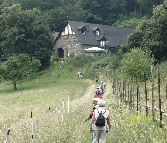 Wanderer zum Waldgut Schirmau, &copy; TI Vulkanregion Laacher See