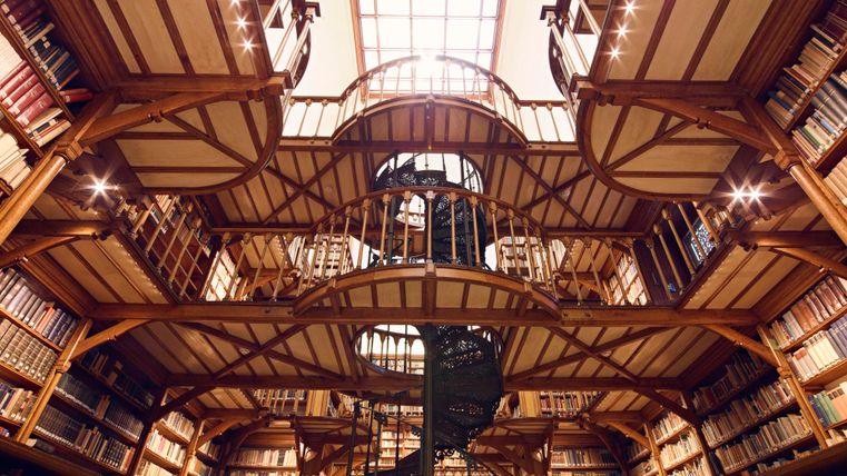 Eine beeindruckende Bibliothek mit Holzregalen und mehreren Ebenen. Das Licht fällt durch ein großes Fenster in die Mitte des Raumes.