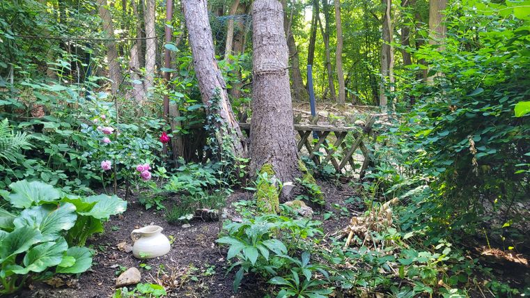 Ein ruhiger Garten mit üppigem Grün und bunten Blumen. Im Hintergrund steht eine Holzbank zwischen den Bäumen.