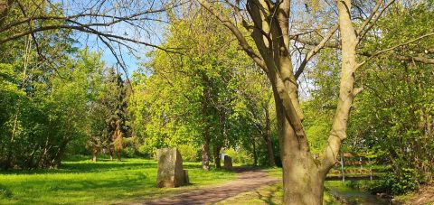 A beautiful park with colorful grass and green trees. The path leads through a peaceful, natural environment.