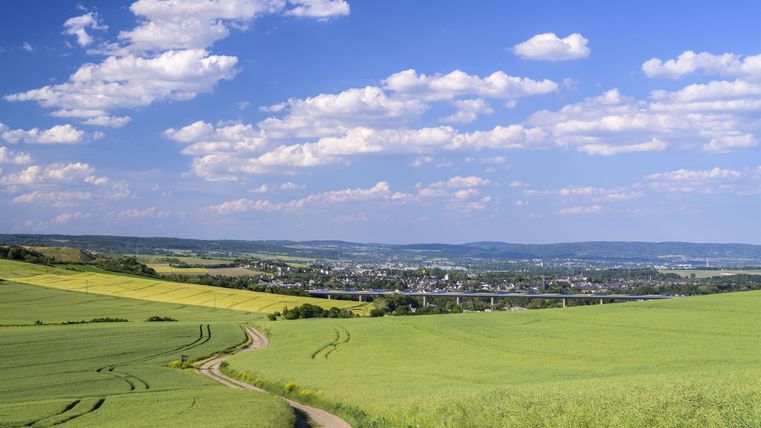 Eine malerische Landschaft mit sanften Hügeln und grünen Feldern. Der Himmel ist klar mit einigen Wolken, und im Hintergrund ist eine kleine Stadt zu sehen.