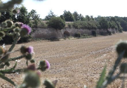 Krufter Bachtal, &copy; VG Pellenz, Alexandru Manea