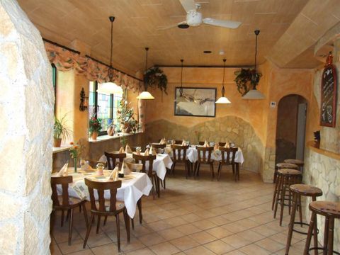 Ein gemütliches Restaurant mit warmen Farben und Holzstühlen. Die Tische sind elegant gedeckt und es gibt große Fenster mit Pflanzen.