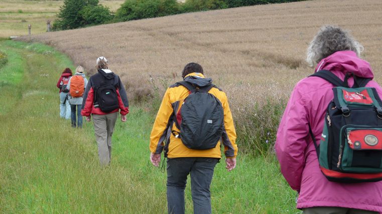 A group of hikers is walking on a path through the landscape. In the background, fields and trees can be seen.