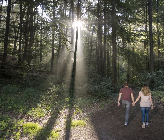 Spaziergang im Wald, &copy; Vulkanregion Laacher See/Klaus Peter Kappest