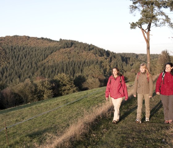 Drei Frauen wandern auf einem Pfad durch eine herbstliche Landschaft. Im Hintergrund sind bewaldete Hügel zu sehen., © Traumpfade/Kappest
