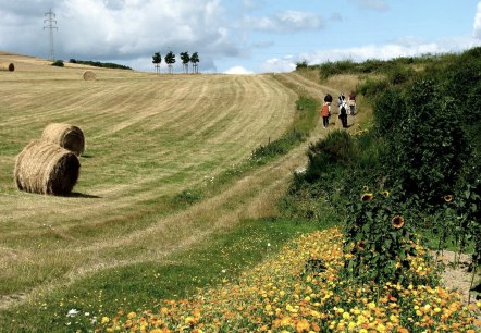 Vinxtbachtal, &copy; TI Vulkanregion Laacher See