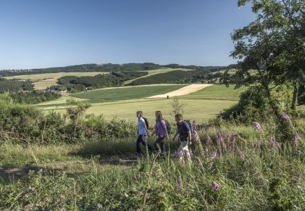 Eifel ladder Hohenleimbach, &copy; Kappest